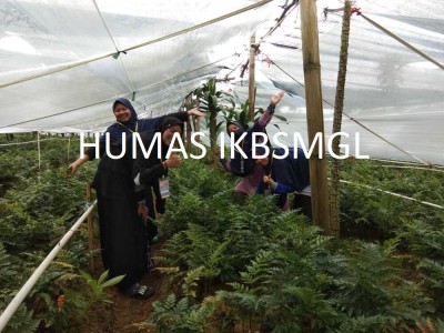 SANTRI MASUK DESA KE-2 TAHUN PELAJARAN 2021/2022