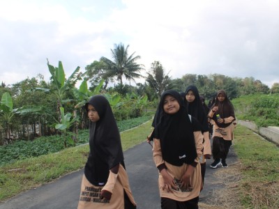 Jalan sehat